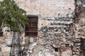 Tree, window and wall Cartagena, Colombia